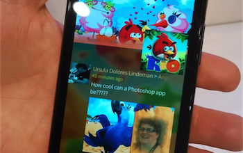 jolla_angry_birds_ambience (1)