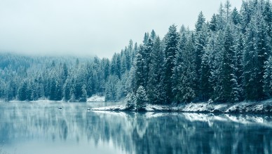 Winter-Lake